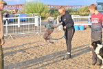 SBM_09646
