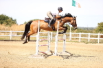 SBM_000977