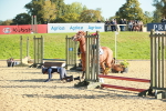 SBM_15278