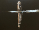 Ariranha III / Giant otter III