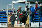 3HRodeo7-10-24_3HR1487_LJD