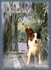X18  Fir tree snow dog