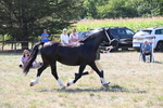 WJ6_4875