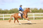 SBM_002965