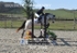 BPP_6988