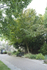 IMGL8941_2