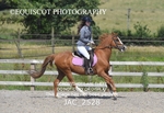 JAC_2528