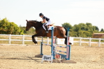 SBM_002565