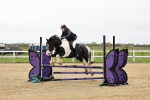 SBM_006491