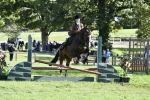 S34 - Novice & Newcomers Working Hunter portfolio