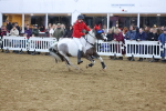 SBM_003919
