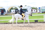 SBM_01903