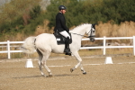 SBM_008211