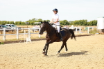 SBM_002979