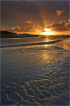 Golden Light