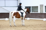SBM_001677