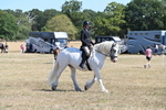 WJ6_8252