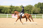 SBM_002782