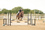 SBM_023354