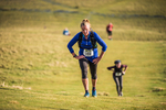 Sale Fell-597