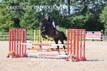 BPP_0955