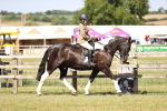 SBM_18688