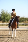 SBM_01161