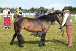 DSC05067