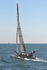 160830 HOBIE TIGER 770 Y92A8538_Edit
