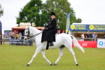 SBM_02732