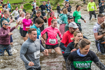 Dovedale Dash-283