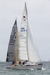 210703 FANDANGO GBR1034L 5T7A0309