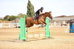 SBM_001659