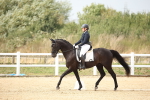 SBM_020398