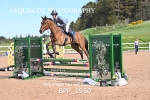 BPP_1950