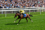 220826-Race 2-Infraad-0306