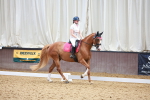 SBM_010210