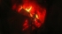Fire Grate 0188