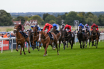 160926-Race 4-Woodvale-0634