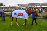 170623-Race 2-Wild Lion-0284