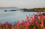 White bay and Stroove lighthouse