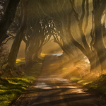The Road Goes Ever On