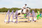 SBM_003557