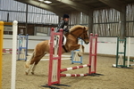 AJG_3553
