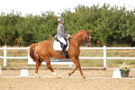 SBM_007409