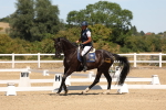 SBM_002813