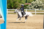 SBM_007289