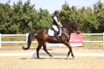 SBM_010634