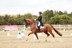 SBM_006827