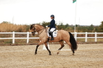 SBM_001755